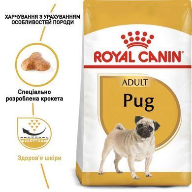 Royal Canin (Роял Канин) Pug Adult - Сухой корм для взрослых Мопсов, 3 кг