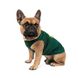 Pet Fashion (Пет Фешн) Say Yes Sun Please - Борцівка для собак із принтом (зелена) XS (23-25 см)