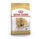 Royal Canin (Роял Канин) Pug Adult - Сухой корм для взрослых Мопсов, 3 кг