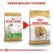 Royal Canin (Роял Канин) Pug Adult - Сухой корм для взрослых Мопсов, 3 кг