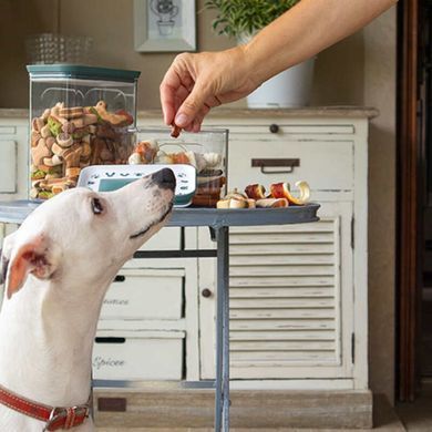 Stefanplast (Стефанпласт) Pet Snack Box - Контейнер для зберігання ласощів 2,2 л Бежевий