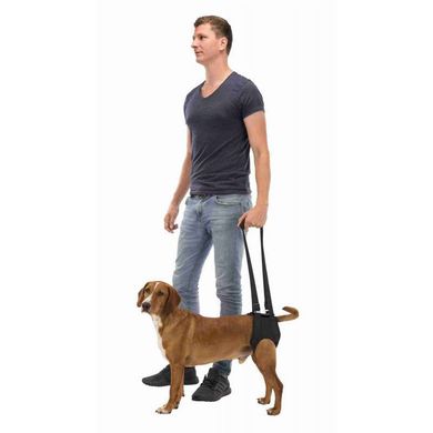 Trixie (Трикси) Walking Aid - Поддерживающая шлея для задних лап собак L/65-75 см