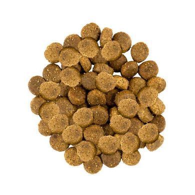 Savory (Cейворi) Fresh Turkey & Lamb Adult Medium Breeds - Сухий корм зі свіжого м'яса індички і ягняти для дорослих собак середніх порід, 1 кг