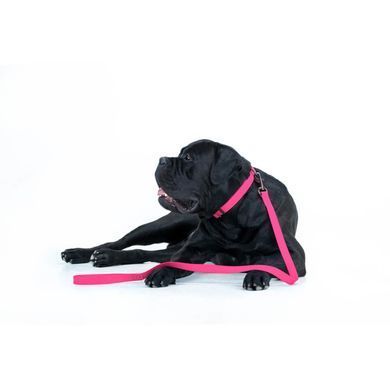 copy_Collar (Коллар) WAUDOG Waterproof - Водостійкий повідець для собак 1,5х183 см Рожевий