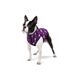 WAUDOG (Ваудог) WAUDOG Clothes - Курточка для собак з малюнком "Чудо-жінка фіолет" XS22 (20-22 см)