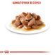 Royal Canin (Роял Канин) Hairball Care - Консервированный корм для взрослых котов (кусочки в соусе) 85 г