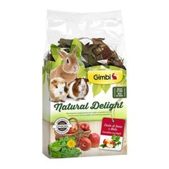 Gimpet (ДжимПет) GimBi Natural Delight – Травяной микс для грызунов, одуванчик и яблоки 100 г