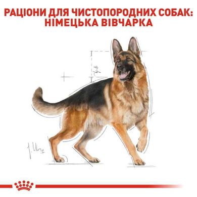 Royal Canin (Роял Канин) German Shepherd 24 Adult - Сухой корм для Немецких овчарок 3 кг
