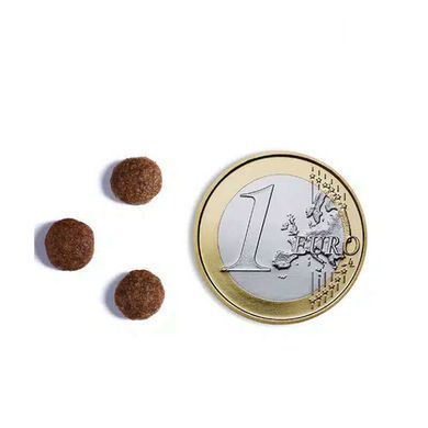 Ambrosia (Амброзія) Grain Free Sensitive - Сухий беззерновий корм кроль та лосось для дорослих собак малих порід з чутливим травленням, 5 кг