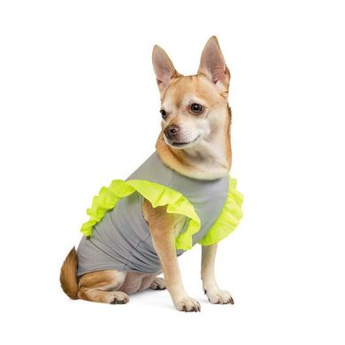 Pet Fashion (Пет Фешн) Say Yes Sunkissed - Футболка з "крильцями" для собак (сіра) XS (23-25 см)