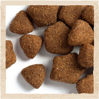 Dog Chow (Дог Чау) by Purina Adult Lamb - Сухий корм з ягням для дорослих собак, 2,5 кг