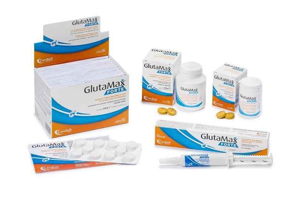 Candioli (Кандиоли) GlutaMax Forte - Диетическая добавка для поддержки функции печени при хронической печеночной недостаточности для взрослых собак и кошек 15 мл / паста