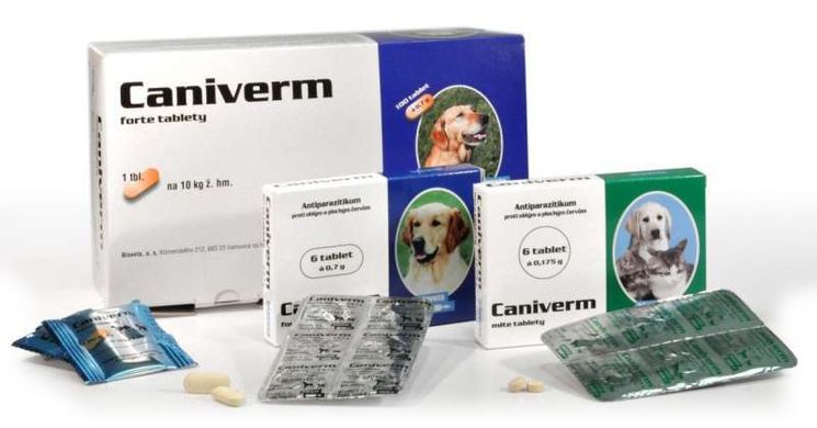 Bioveta (Біовета) Caniverm - Протипаразитарні пігулки Каніверм для собак і кішок, антигельмінтик широкого спектру дії (1 пігулка) 0,5-2 кг