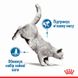 Royal Canin (Роял Канин) Light Weight Care – Влажный корм с мясом для снижения веса у взрослых котов (кусочки в желе) 85 г