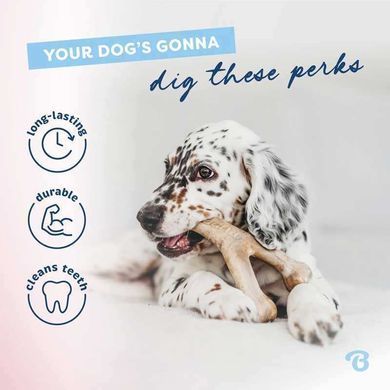 Benebone (Бенебоне) Puppy Pack - Набор жевательных игрушек Дентал+Рычаг со вкусом бекона для щенков, Tiny, 2 шт.