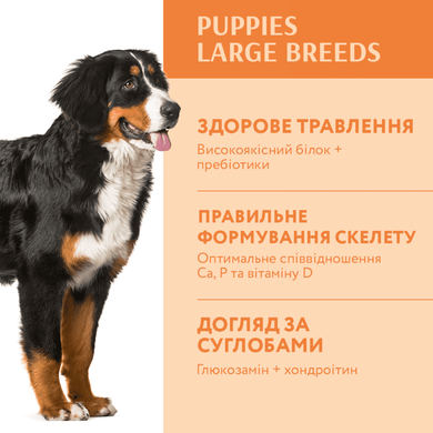 OptiMeal (ОптиМил) Puppy Large Breed Turkey - Сухой корм с индейкой для щенков крупных пород, 12 кг