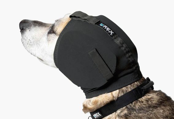 Rex Specs (Рекс Спекс) Ear Pro – наушники для защиты слуха собак S