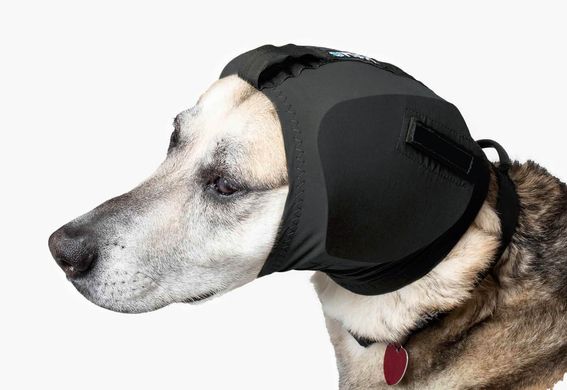 Specs (Рекс Спекс) Ear Pro – навушники для захисту слуху собак S