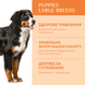 OptiMeal (ОптиМил) Puppy Large Breed Turkey - Сухой корм с индейкой для щенков крупных пород, 12 кг