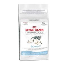 Royal Canin (Роял Канин) Queen 34 - Сухой корм с птицей для кошек во время беременности и лактации 4 кг