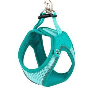Max&Molly (Макс энд Молли) Air Vest Harness Matrix 2.0 - Шлея для собак Turquoise бирюзового цвета, XXS