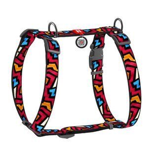 Collar (Коллар) WAUDOG Nylon - Анатомическая H-образная шлея для собак c рисунком "Граффити" и QR паспортом L/50-90х60-100 см