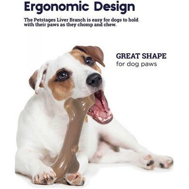 Petstages (Петстейджес) Liver-scented branch - Іграшка для собак Гілка з ароматом печінки, 17 см