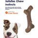 Petstages (Петстейджес) Liver-scented branch - Іграшка для собак Гілка з ароматом печінки, 17 см