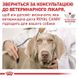 Royal Canin (Роял Канин) Urinary S/O Moderate calorie - Консервированный корм для собак, склонных к набору лишнего веса, при заболеваниях нижних мочевыводящих путей (дольки в соусе) 100 г