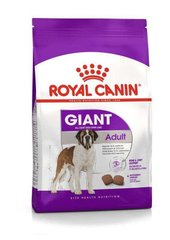 Royal Canin (Роял Канін) Giant Adult - Сухий корм для дорослих собак великих розмірів 15 кг