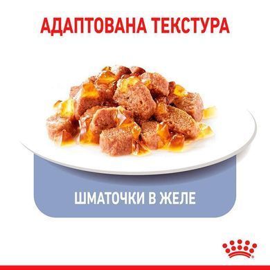 Royal Canin (Роял Канин) Appetite Control Care &ndash; Влажный корм с мясом для взрослых стерилизованных кошек склонных к выпрашиванию корма (кусочки в желе) 85 г