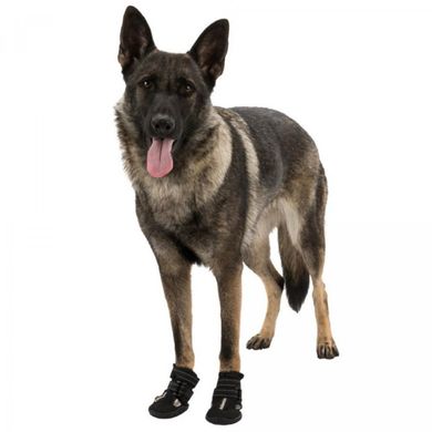 Trixie (Трикси) Walker Active Shoes - Защитные ботинки для собак XS