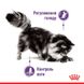 Royal Canin (Роял Канин) Appetite Control Care – Влажный корм с мясом для взрослых стерилизованных кошек склонных к выпрашиванию корма (кусочки в желе) 85 г