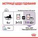Royal Canin (Роял Канин) Appetite Control Care &ndash; Влажный корм с мясом для взрослых стерилизованных кошек склонных к выпрашиванию корма (кусочки в желе) 85 г