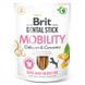 Brit Care (Бріт Кеа) Dental Stick Mobility - Функціональні ласощі з колагеном і куркумою для мобільності суглобів дорослих собак, 251 г (7 шт.)