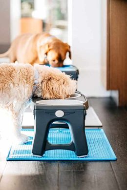 Dexas (Дексас) Adjustable Height Pet Feeder - Двойная миска на подставке для собак c регулируемыми ножками 960 мл Светло-серый
