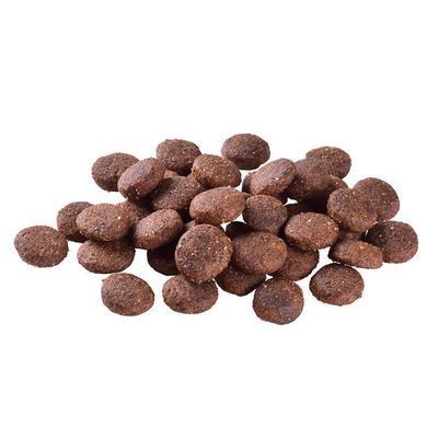Brit Care (Бріт Кеа) GF Junior Large Breed Salmon and Potato - Сухий беззерновий корм з лососем для молодих собак великих порід, 1 кг