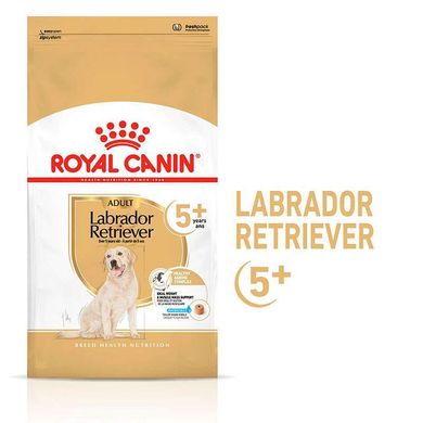 Royal Canin (Роял Канин) Labrador Retriever Ageing 5+ – Сухой корм с птицей для собак породы Лабрадор Ретривер старше 5 лет 12 кг