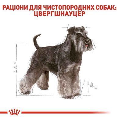 Royal Canin (Роял Канін) Schnauzer Adult - Сухий корм з м'ясом птиці для дорослих собак породи Шнауцер (Цвергшнауцер), 7,5 кг