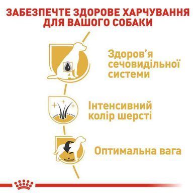 Royal Canin (Роял Канін) Schnauzer Adult - Сухий корм з м'ясом птиці для дорослих собак породи Шнауцер (Цвергшнауцер), 7,5 кг