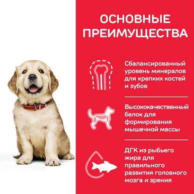 Hill's (Хиллс) Science Plan Puppy Large with Chicken - Сухой корм с курицей для щенков собак крупных пород 800 г