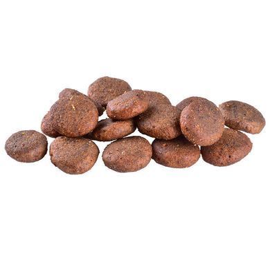 Brit Care (Бріт Кеа) Dog Grain-free Senior & Light - Сухий беззерновий корм з лососем для старіючих собак, 1 кг