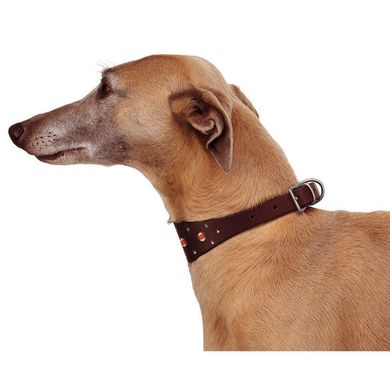 Ferplast (Ферпласт) VIP CWS - Ошейник кожаный для собак c декором 1,5х26-32 см