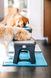Dexas (Дексас) Adjustable Height Pet Feeder - Двойная миска на подставке для собак c регулируемыми ножками 960 мл Светло-серый