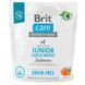 Brit Care (Бріт Кеа) GF Junior Large Breed Salmon and Potato - Сухий беззерновий корм з лососем для молодих собак великих порід, 1 кг
