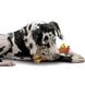 Petstages (Петстейджес) Zany Chicken - Игрушка-пищалка для средних и крупных пород собак "Утка Занни или Цыпленок Аст" 28 см/3-8 см