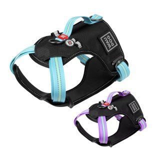Collar (Колар) WAUDOG Nylon - Шлей для собак безпечний з QR паспортом, металева пряжка-фастекс, блакитна, розмір S
