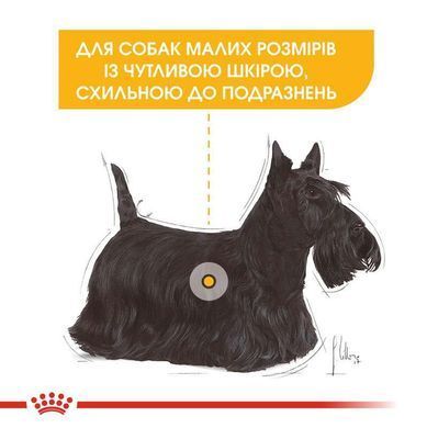 Royal Canin (Роял Канин) Mini Dermacomfort - Сухой корм для собак с чувствительной кожей, склонной к раздражениям и зуду, 2,4 кг +600 г