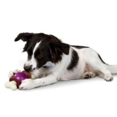Premier (Премиер) Bouncy Bone - Суперпрочная игрушка-кормушка для собак S