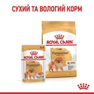 Royal Canin (Роял Канин) Pomeranian Loaf &ndash; Влажный корм с мясом для взрослых собак породы Померанский шпиц (паштет), 85 г
